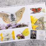 Kalender