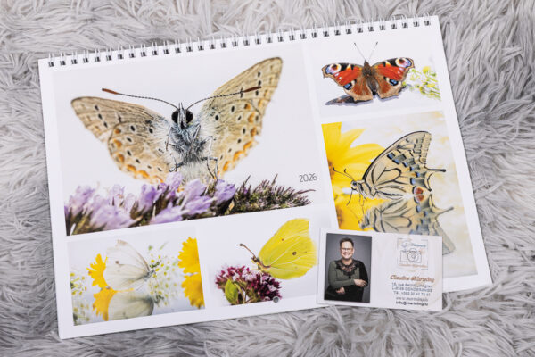 Kalender
